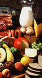 Let us help you get the right proportion of foods from each food group.